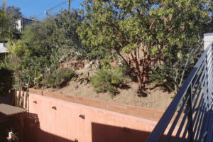Mulholland Backyard Renovation (18) (1)