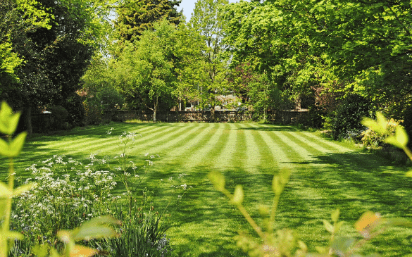 Save Money with These Lawn Care Hacks