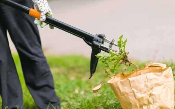 Save Money with These Lawn Care Hacks