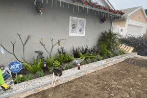 Long Beach Backyard and Driveway Renovation