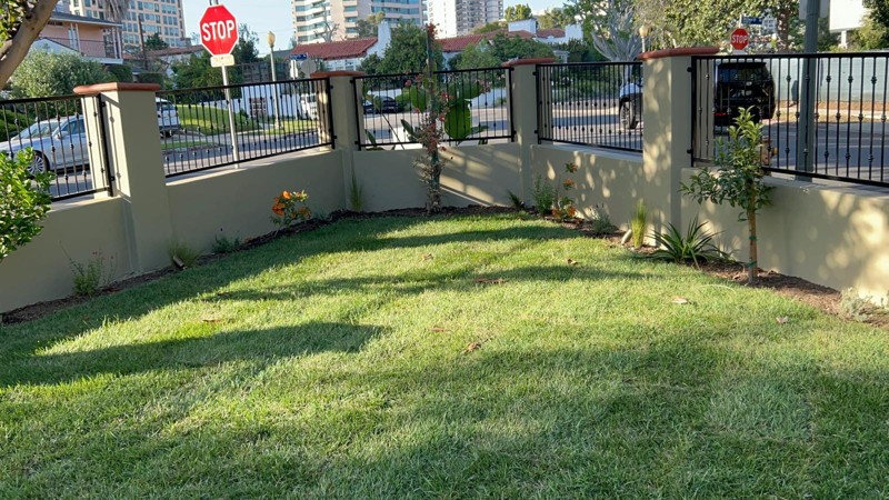 custom stucco walls iron fence front yard remodeling los angeles