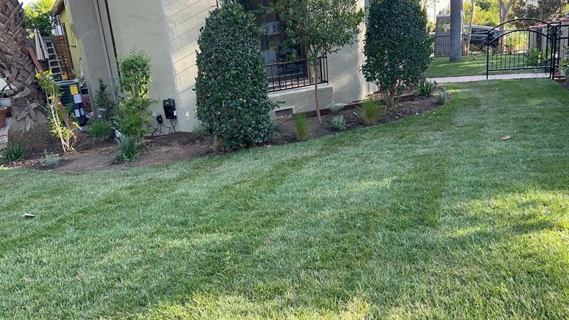 front yard landscape installation los angeles grass trees