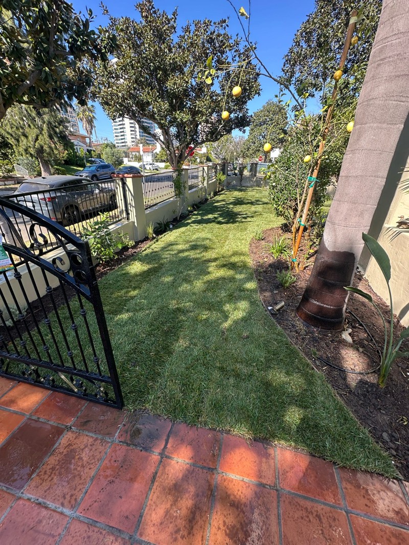 custom iron gates front yard remodeling los angeles
