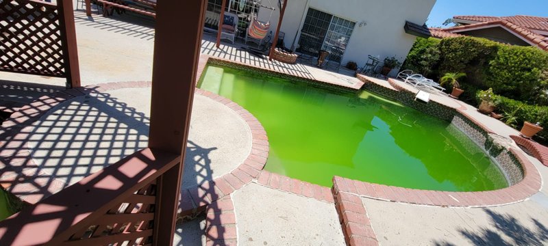 Pool before renovation green algae water Northridge CA