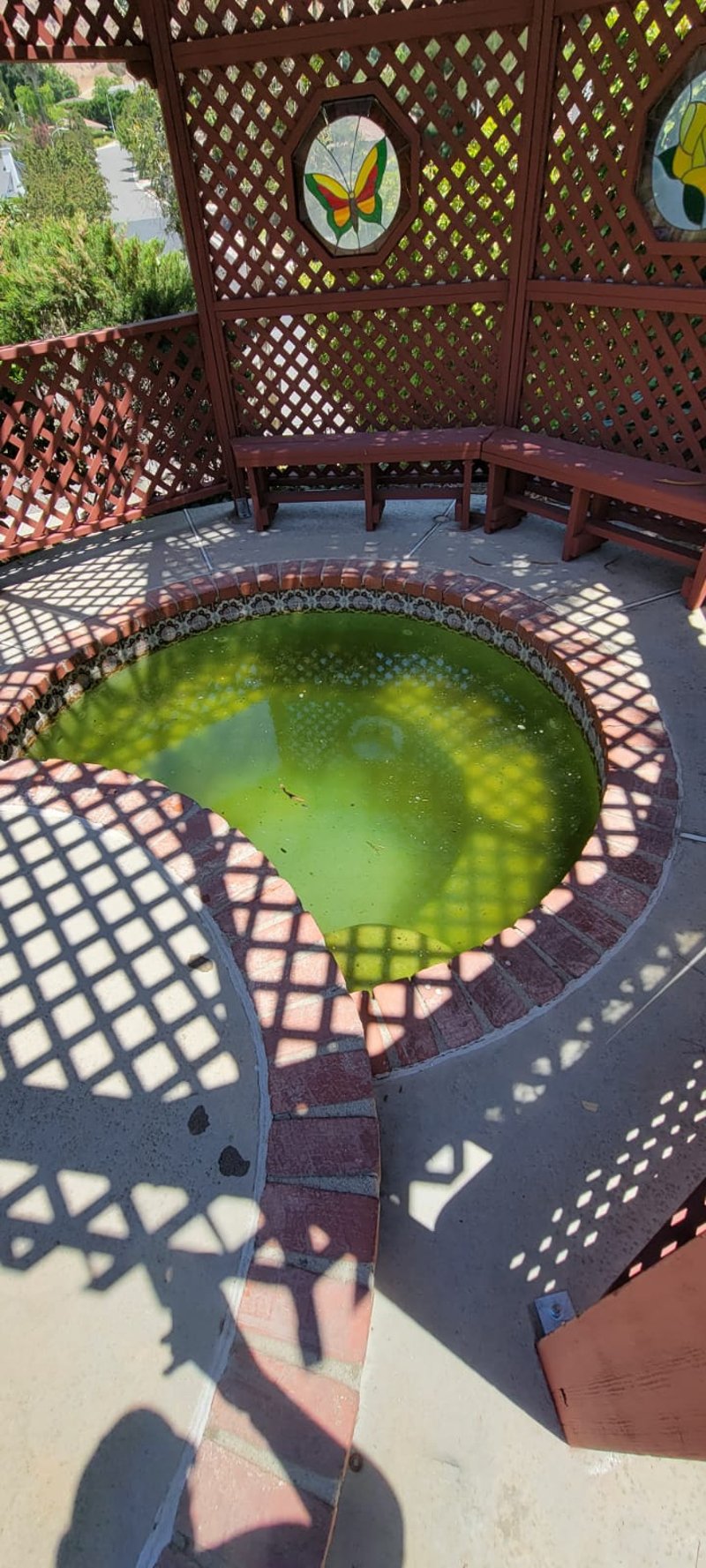 Spa before renovation with algae Northridge California